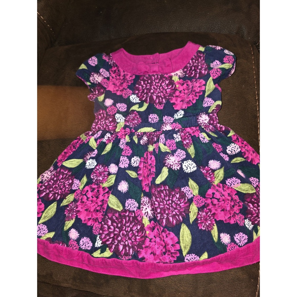 Gymboree outlet plum pony corduroy floral dress size 12 18 months